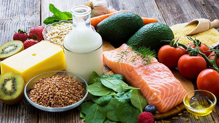 nutricion humana